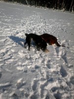 /album/galerie-photos/a10978585-516742051800394-8902400793720664183-n-jpg/