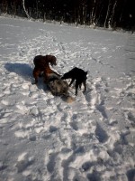 /album/galerie-photos/a10984039-516742015133731-6793214598851365482-n-jpg/