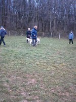 /album/galerie-photos/a10994939-517428341731765-6894461621692723801-n-jpg/